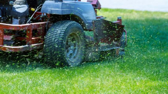South West Florida Landscaping Services (Southwest Florida)